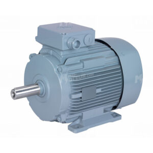Moteur électrique triphasé 9 kW – 1500 tr/min – VEM W41R132M4SW